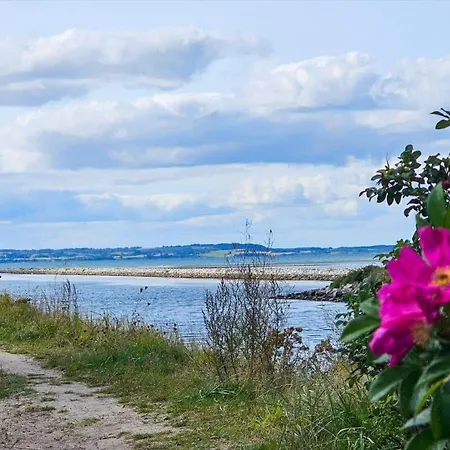 84515-ebeltoft-oerhojden-26 * Ebeltoft
